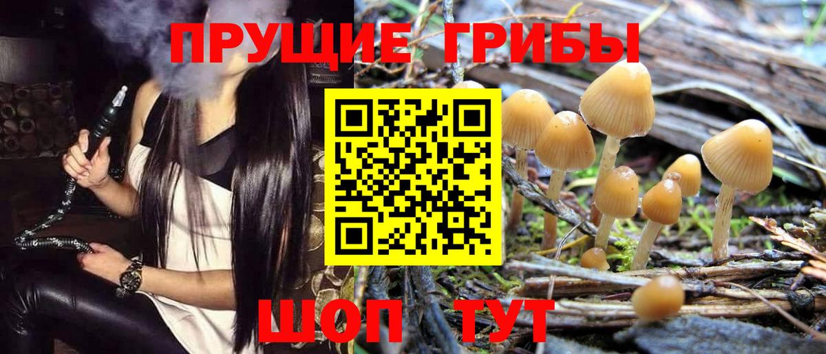 Галлюциногенные грибы мицелий  Вход с VPN  купить наркотики цена  Котлас 