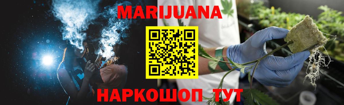 Шишки марихуана конопля Котлас